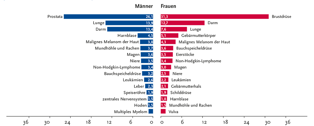 Krebsarten in Prozent, (c) krebsdaten.de