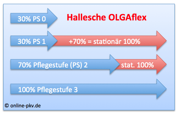 Hallesche_OlgaFlex